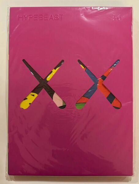 未開封 HYPEBEAST Magazine #16 KAWS カウズ