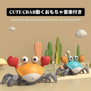 【新品】CUTE CRAB動くおもちゃ音楽付き 青色