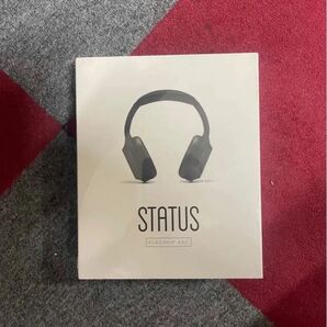 未開封 STATUS FLAG SHIP ANC