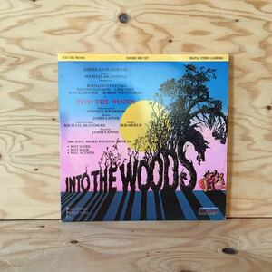 ◎あC-191119　レア［INTO THE WOODS］LD　PAUL GEM