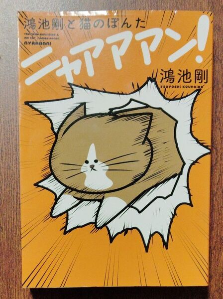 鴻池剛と猫のぽんた ニャアアアン! 2冊セット