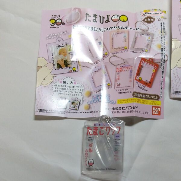 たまひよ アクリルチャーム