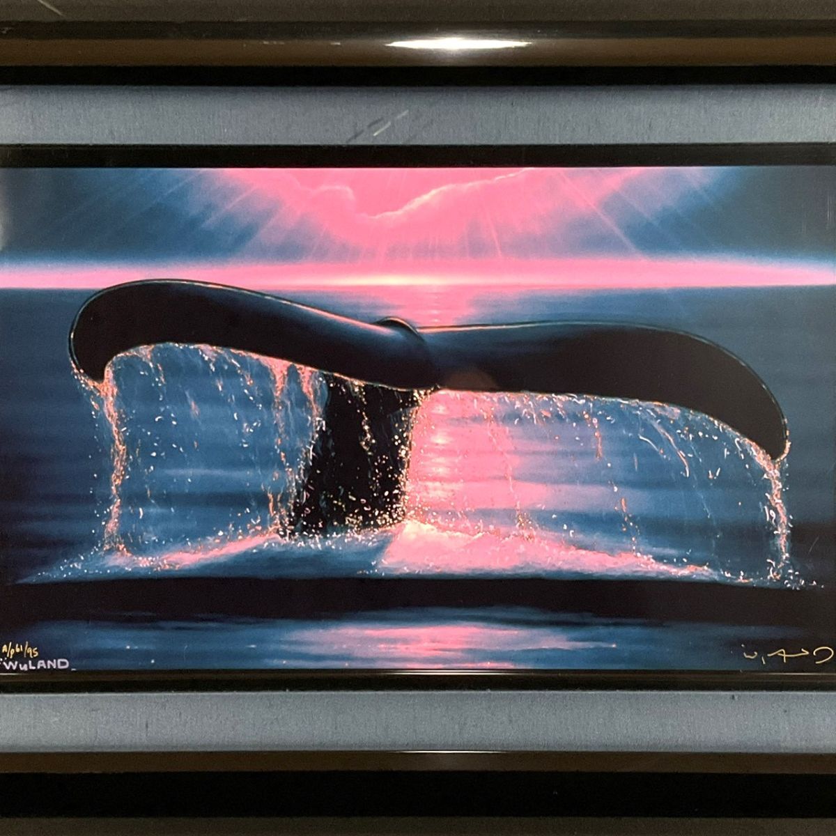 Yahoo!オークション -「wyland」の落札相場・落札価格 Yahoo!オークション -「wyland」の落札相場・落札価格