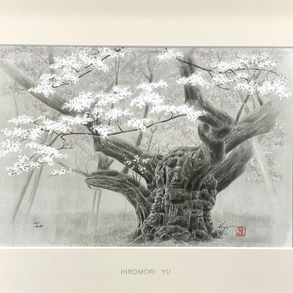 Yahoo!オークション -「淡墨桜」(版画) (美術品)の落札相場 Yahoo!オークション -「淡墨桜」(版画) (美術品)の落札相場