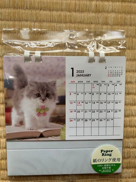 2025年 卓上カレンダー 子猫