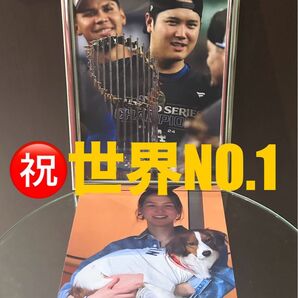 大谷翔平 A4写真 世界一! こちらは記念のお得2枚セットとなります、説明も必ずご覧下さい