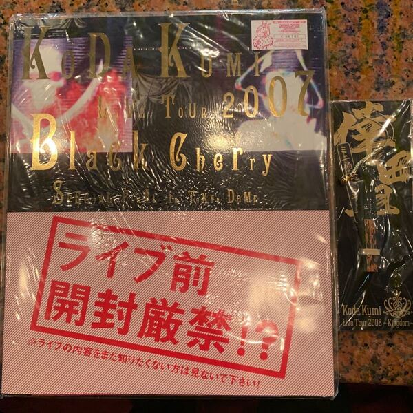 倖田來未 パンフレット&ストラップ!おまけ!