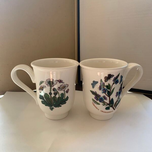 ポートメリオン ボタニックガーデン マグカップPORTMEIRION 2点 ペア