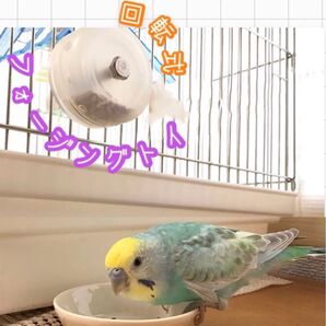 フォージングトイ★インコや文鳥の小鳥のハンドメイドおもちゃ バードトイ