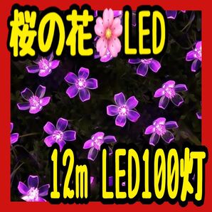 パープル 桜 花びら イルミネーション 飾り付け クリスマス デコレーション ガーデニング キラキラ キレイ ソーラー電池
