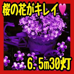 パープル 桜 ソーラーイルミネーション クリスマス イルミネーション LED ライト ソーラー フラワー 花 ガーデニング 飾り付