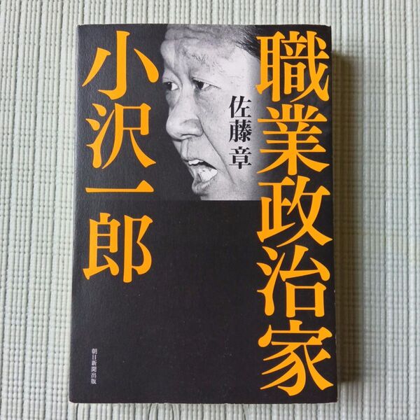 職業政治家小沢一郎 佐藤章/著