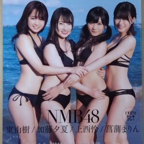 GIRLS PEDIA 2020 WINTER NMB48