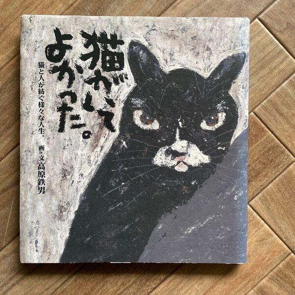 猫がいてよかった。 猫と人が紡ぐ様々な人生。 (YUJIN BOOKS) 高原鉄男/画・文