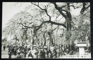 ☆☆絵葉書・戦前・仙台・榴岡公園の桜・お花見・古写真・絵はがき☆1233