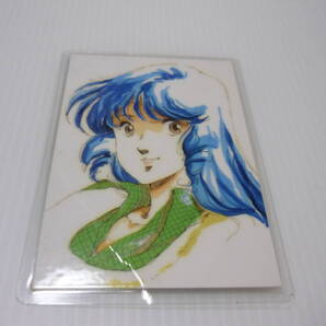 【送料無料】カード リン・ミンメイ 超時空要塞マクロス ラミカード / マクロス ミンメイ ムービック