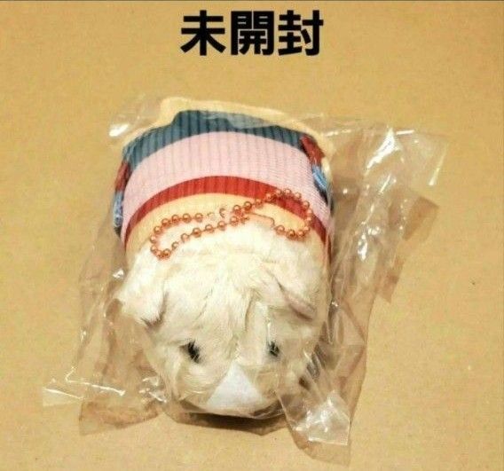 新品未開封 PUIPUIモルカー もちころりん 予約特典 つむぎ