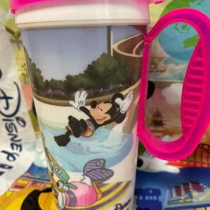 WDW ディズニータンブラー