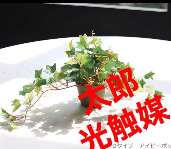 光触媒 人工観葉植物 ウォールグリーン フェイクグリーン アイビーポットajt