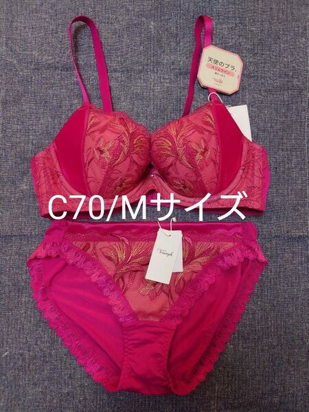 トリンプ 天使のブラ スリムライン TR584 C70/Mサイズ