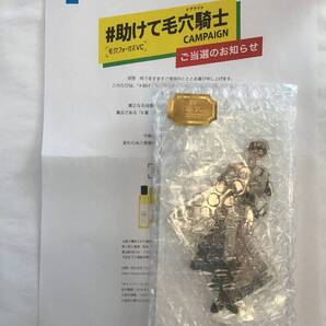 新品 梶裕貴 ボイス付き アクリルスタンド 毛穴騎士 キャンペーン 当選品 懸賞 非売品 ☆