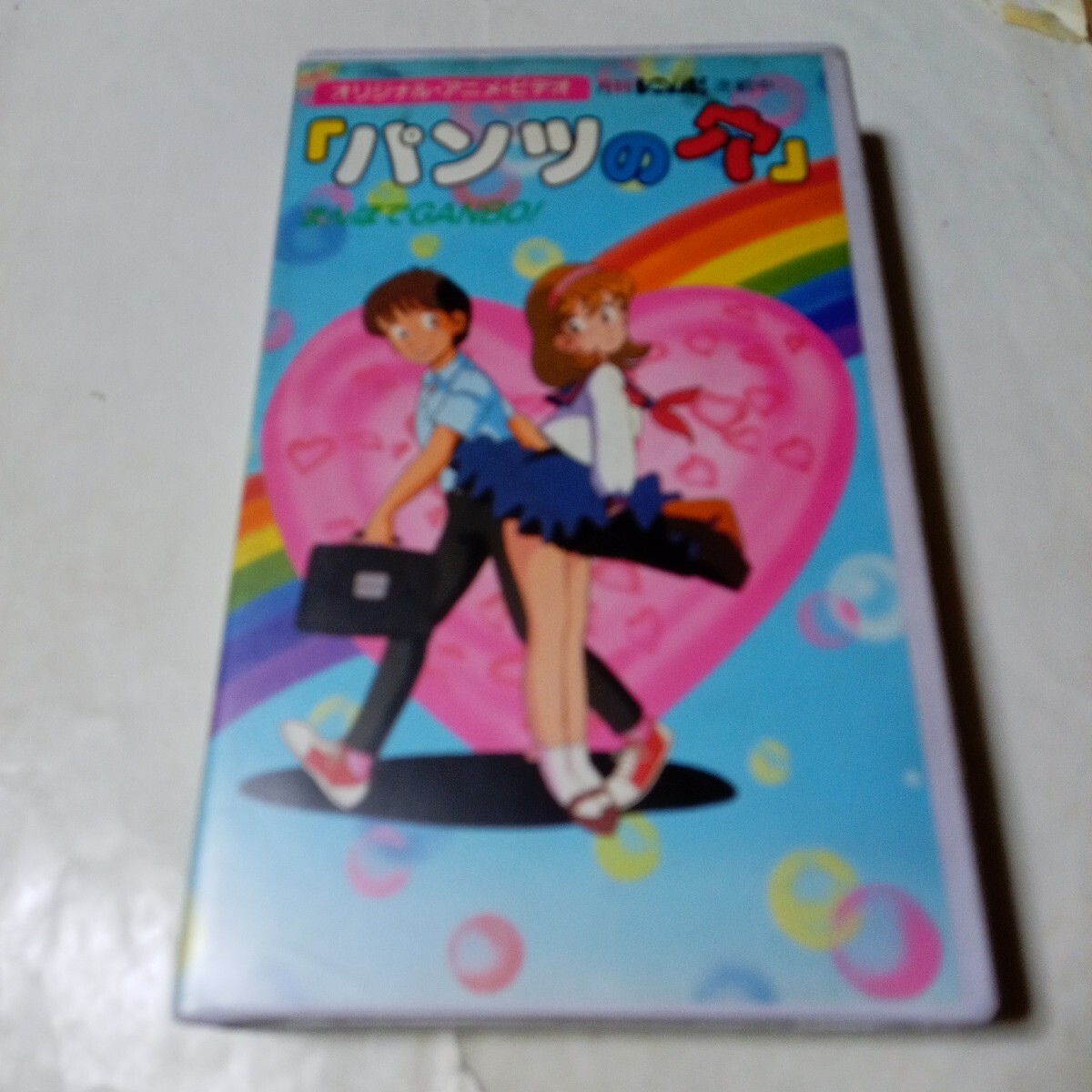 23c ★y パンツの穴 [DVD] Amazon.co.jp: パンツの穴 (HDリマスター版) [DVD] : 菊池桃子