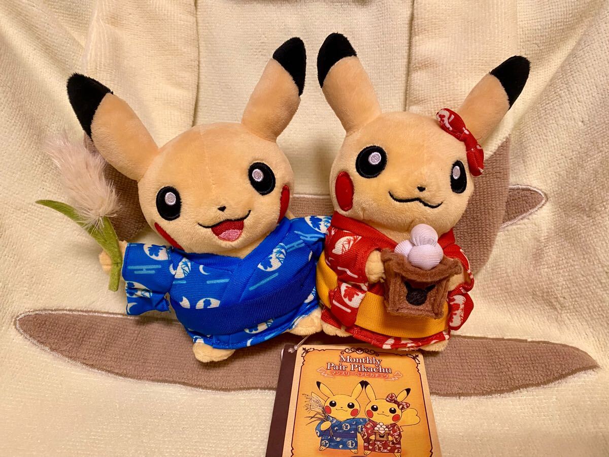 Yahoo!オークション -「ポケモン マンスリーピカチュウ」の落札 Yahoo!オークション -「ポケモン マンスリーピカチュウ」の落札