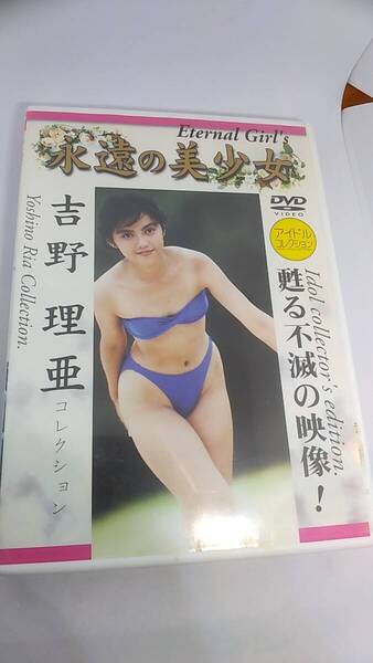 DVD 吉野理亜 コレクション 永遠の美少女 中古品