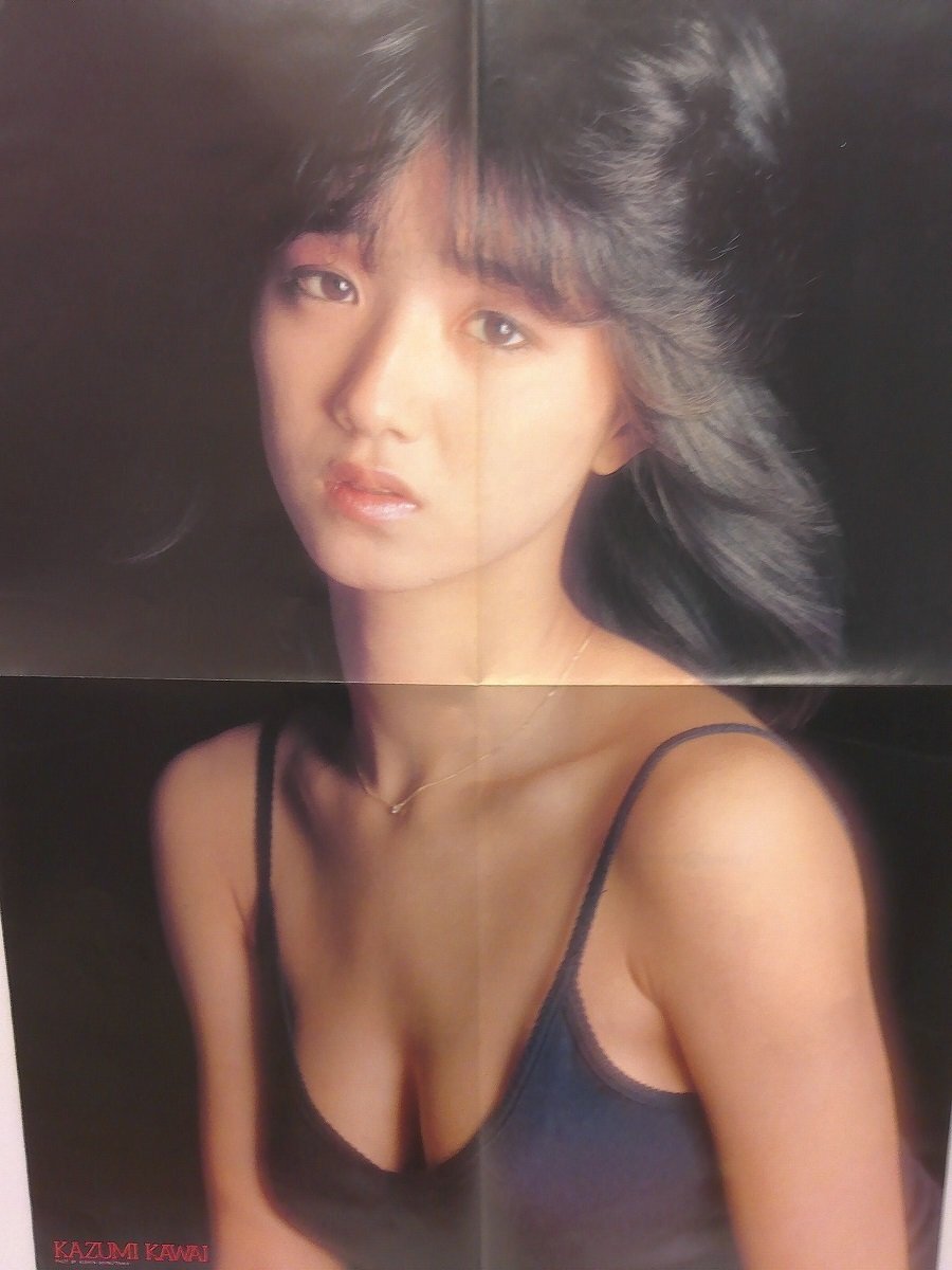 Yahoo!オークション -「可愛かずみ ポスター」(印刷物) の落札