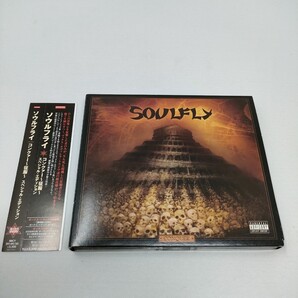 ソウルフライ コンクァー~征服~ CD+DVDスペシャル・エディション SOULFLY 即決 送料込み