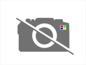 テールパイプ 17430-97227 ダイハツ純正部品
