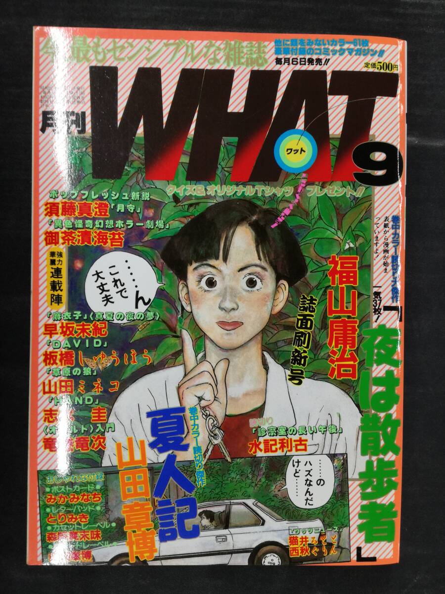 2025年最新】Yahoo!オークション -早坂未紀の中古品・新品・未