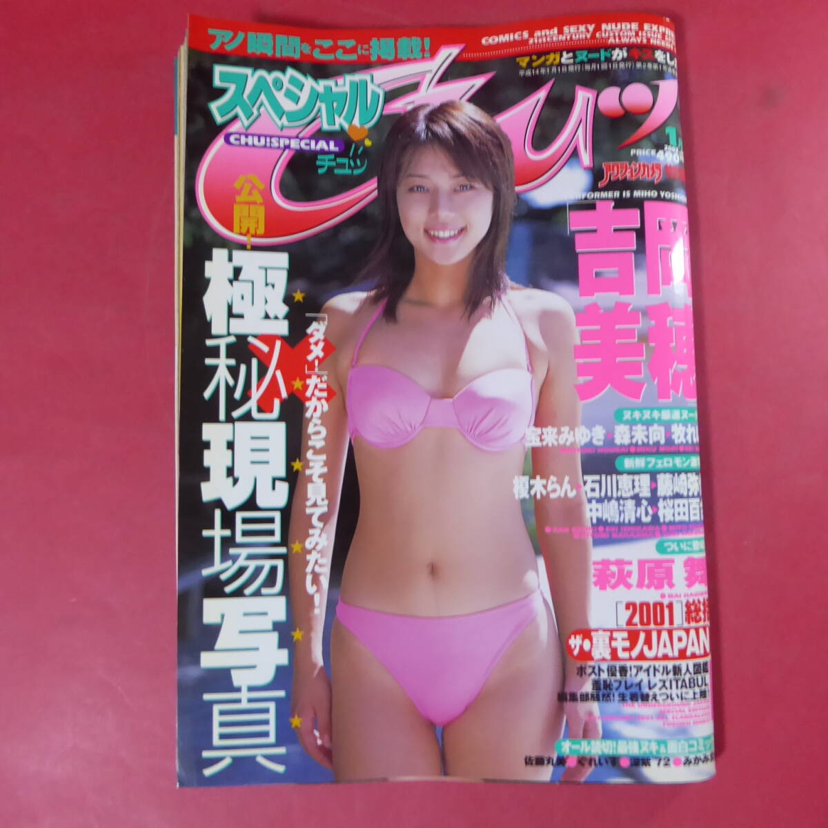 Amazon.co.jp: GUTS 牧れい/牧麗子水着 吉田拓郎 四角佳子 RC