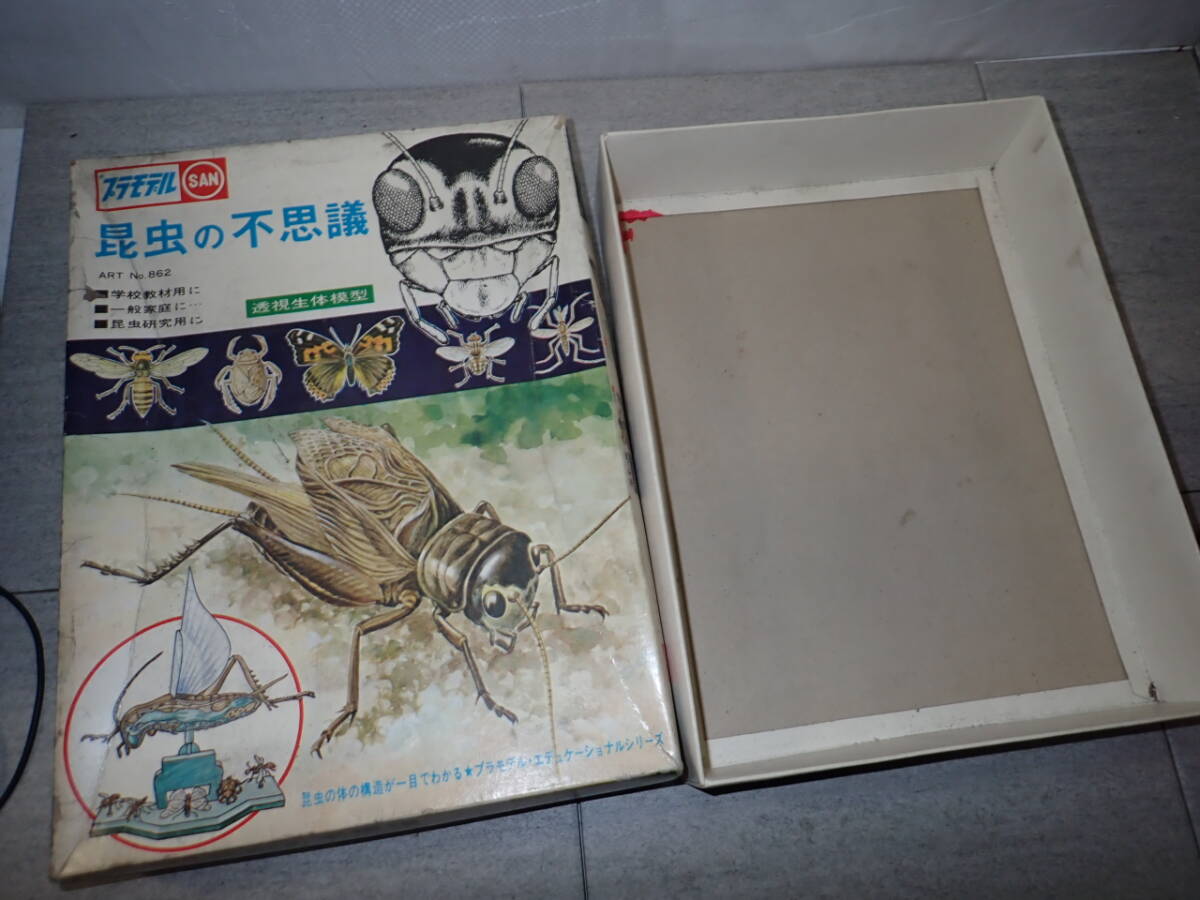 2025年最新】Yahoo!オークション -昆虫標本箱の中古品・新品・未