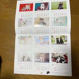 2025 壁掛け カレンダー 子犬