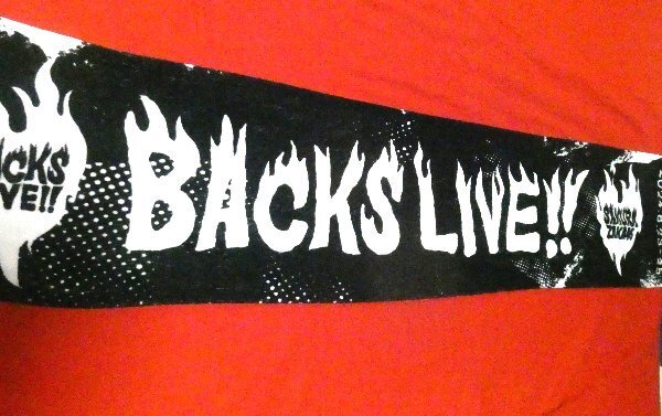 櫻坂46 9th BACKS LIVE マフラータオル