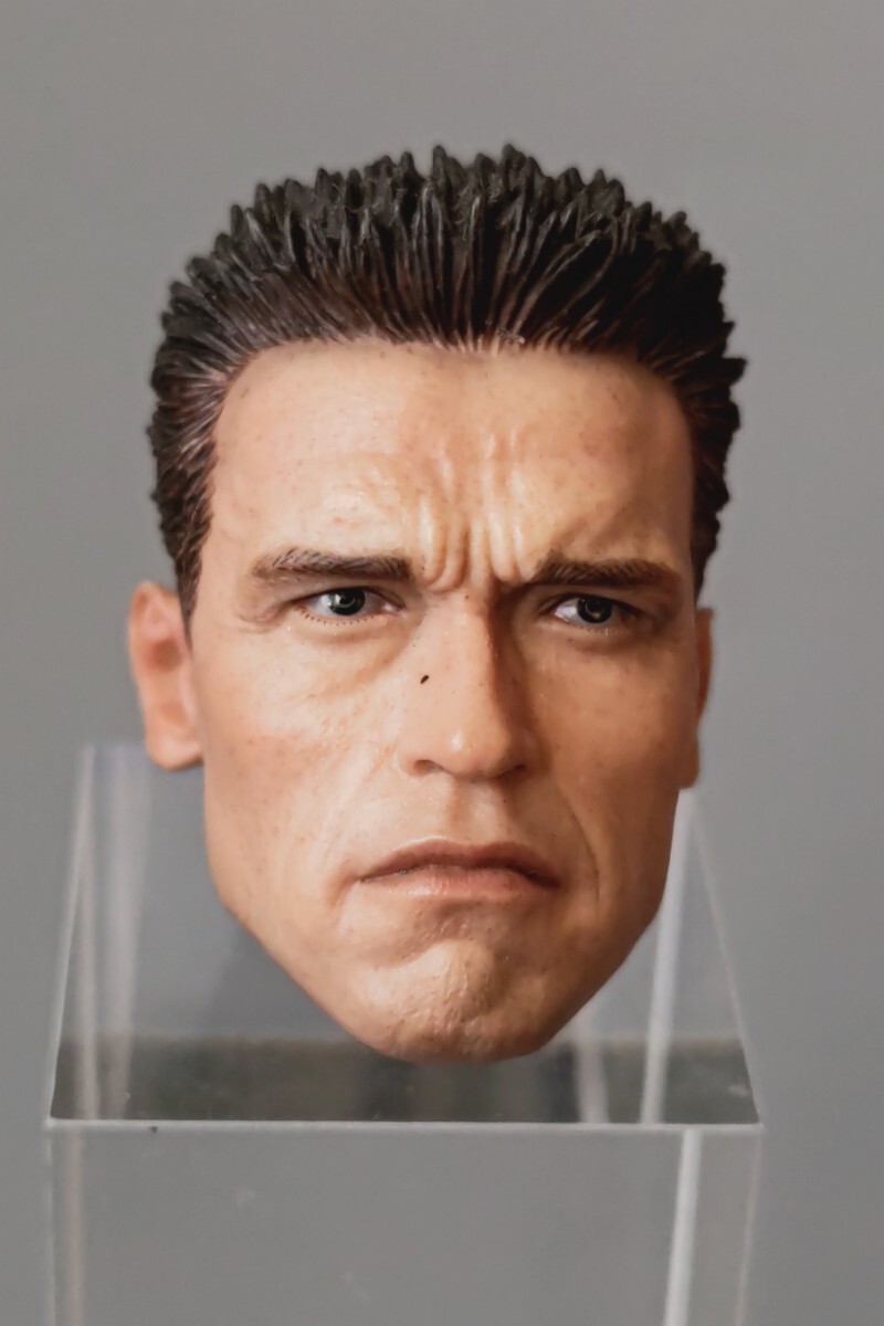 Yahoo!オークション -「1/6 アーノルドシュワルツェネッガー Yahoo!オークション -「1/6 アーノルドシュワルツェネッガー