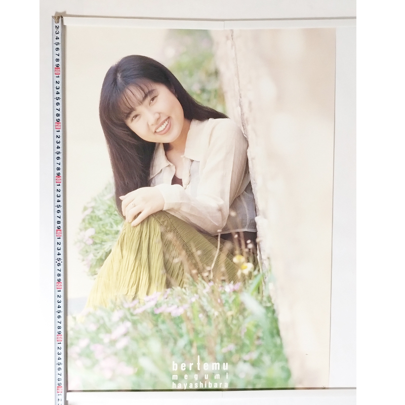 2025年最新】Yahoo!オークション -林原めぐみ(ポスター)の中古品
