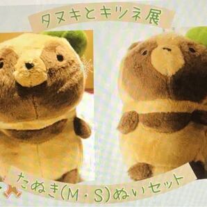 【ぬいぐるみ】タヌキとキツネ展 限定品 タヌキ(M)&ぶらりんマスコット【セット】