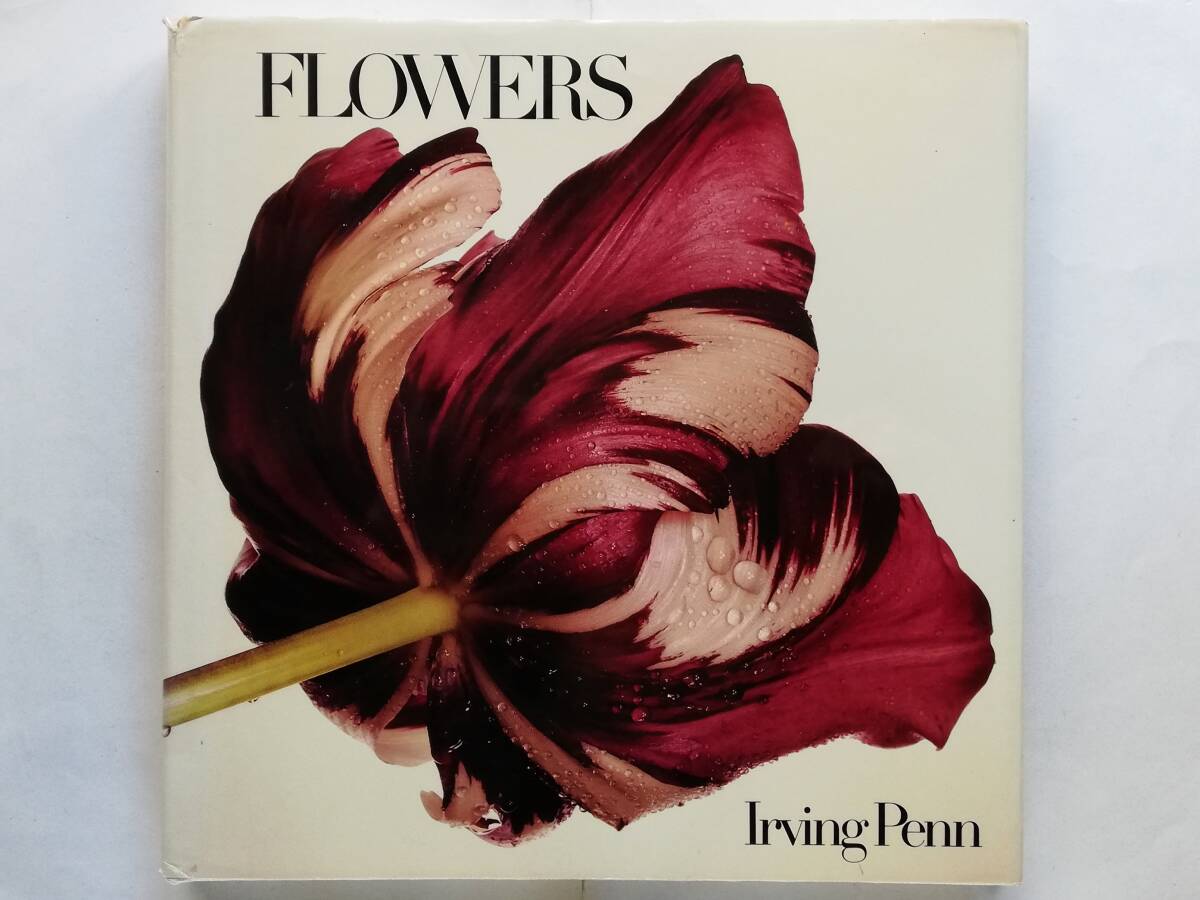 Yahoo!オークション -「irving penn」(写真集) (アート Yahoo!オークション -「irving penn」(写真集) (アート