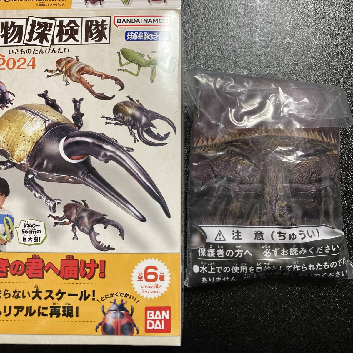 2025年最新】Yahoo!オークション -ミヤマクワガタ(フィギュア)の 2025年最新】Yahoo!オークション -ミヤマクワガタ(フィギュア)の