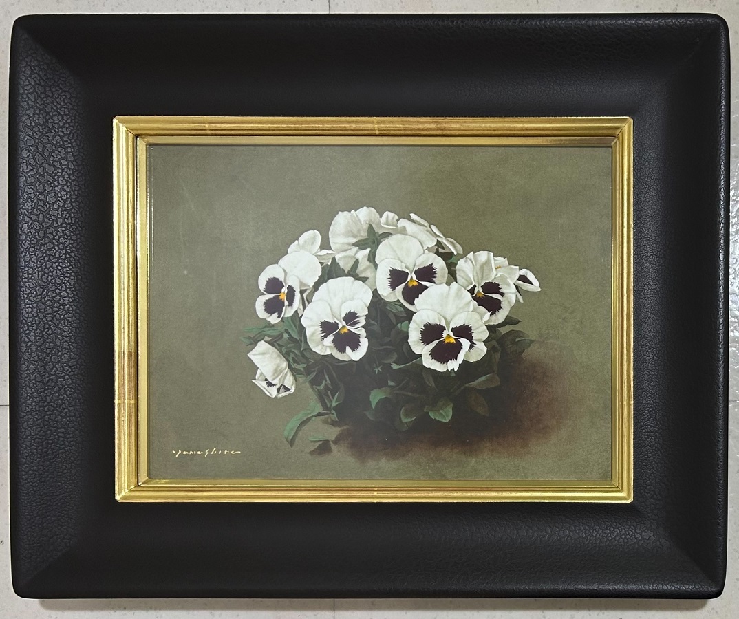 2025年最新】Yahoo!オークション -パンジー(絵画)の中古品・新品 2025年最新】Yahoo!オークション -パンジー(絵画)の中古品・新品