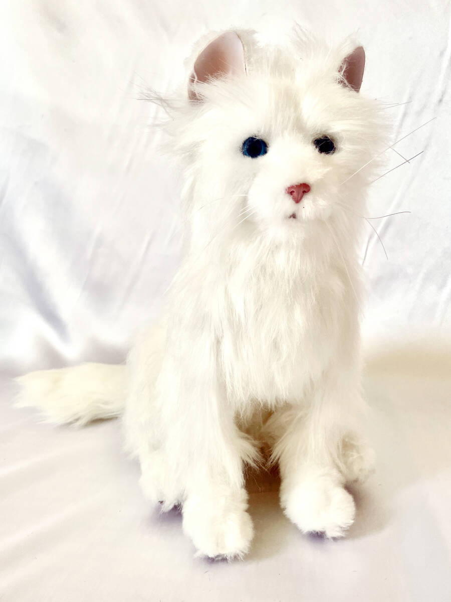 Yahoo!オークション -「夢ねこ」の落札相場・落札価格 Yahoo!オークション -「夢ねこ」の落札相場・落札価格