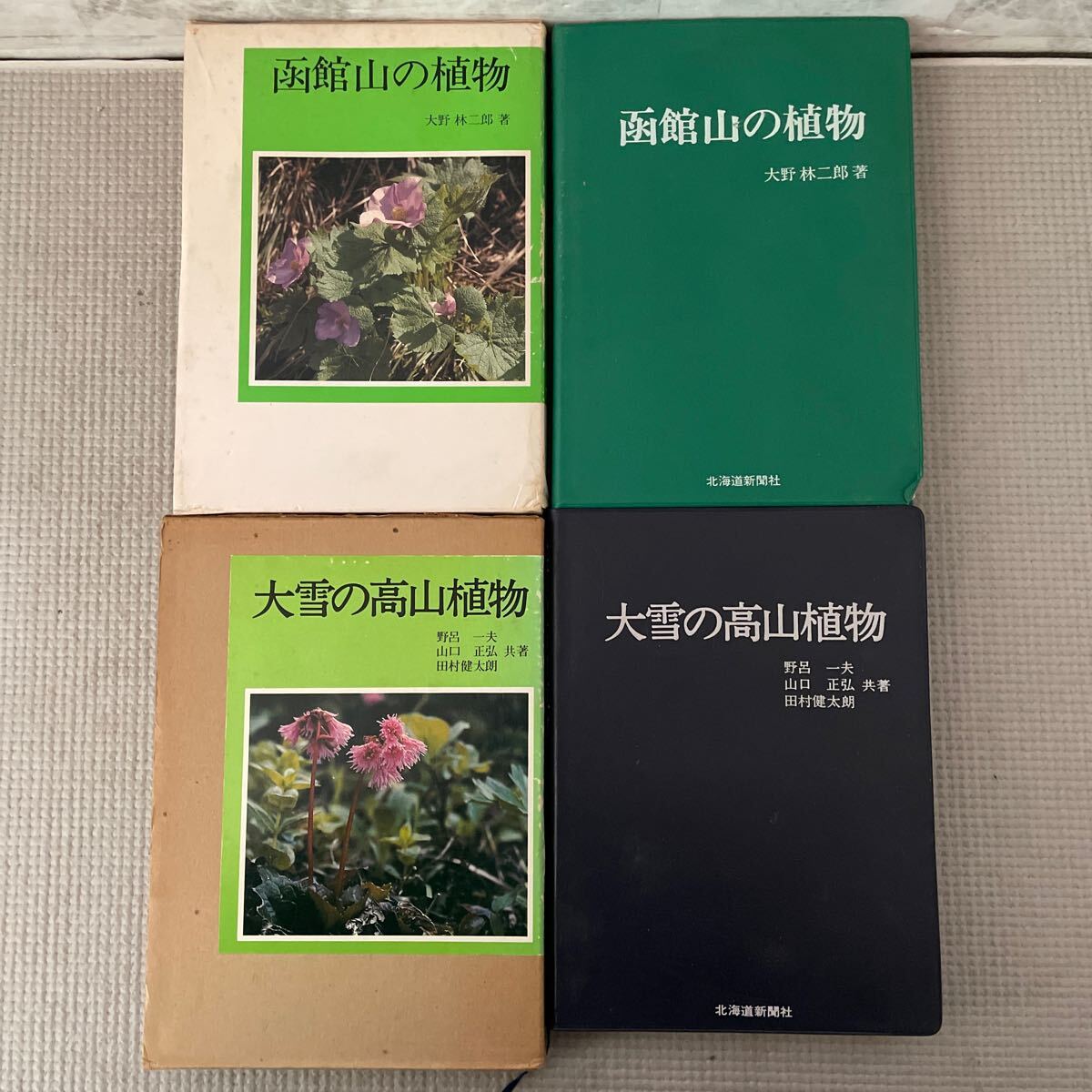 北海道の高山植物（大形本）　創土社　【中古ー非常に良い】 改訂新版 北海道の高山植物 | 梅沢 俊 |本 | 通販 | Amazon