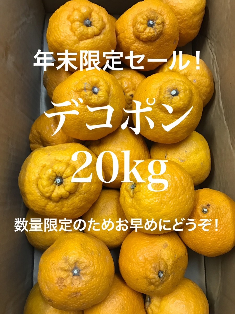 デコポン 不知火（愛媛産）20Kgのお取り寄せ販売（通販）送料