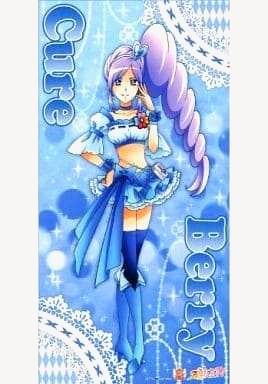 Yahoo!オークション -「フレッシュプリキュア タオル」の落札 Yahoo!オークション -「フレッシュプリキュア タオル」の落札