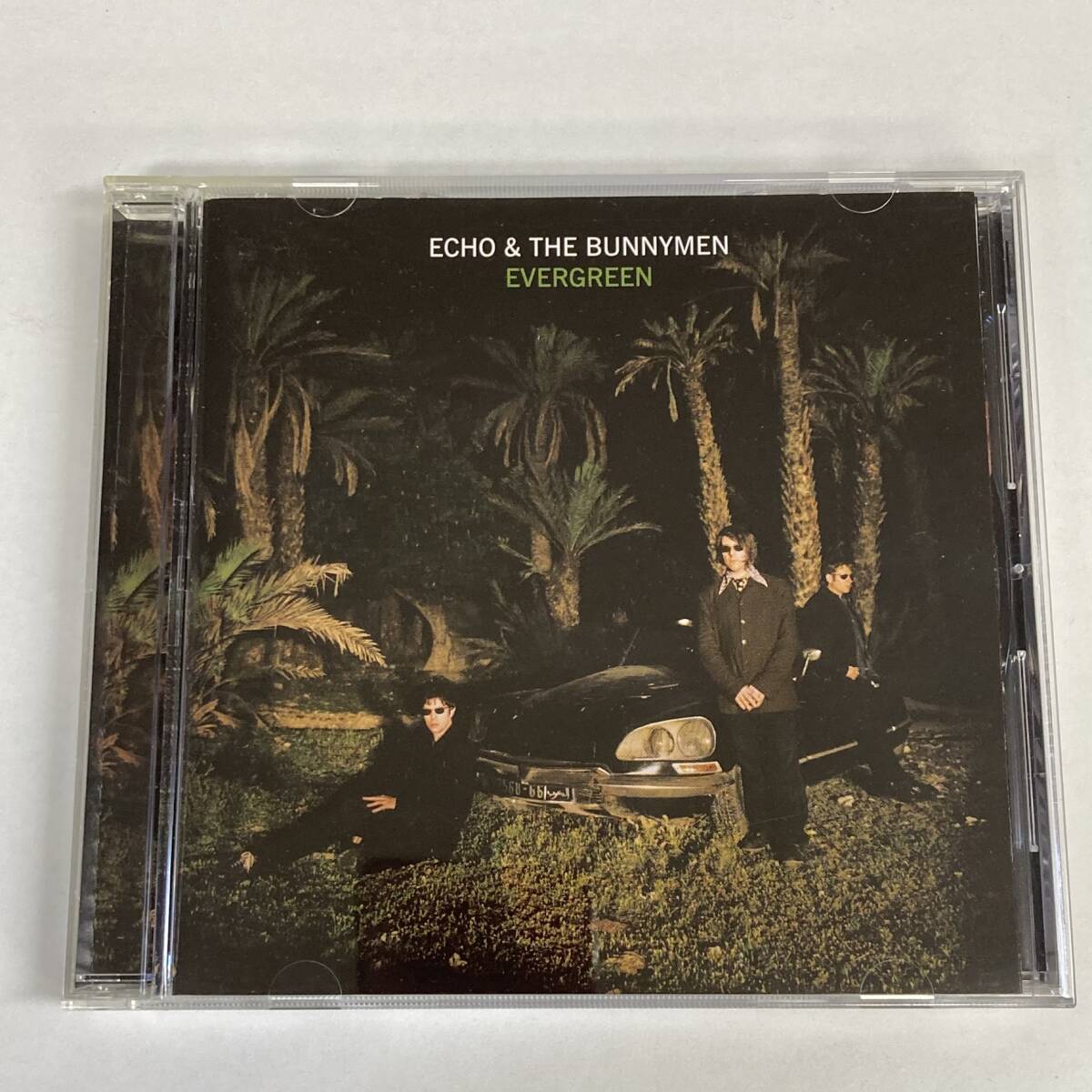 2025年最新】Yahoo!オークション -echo bunnymen(レコード)の