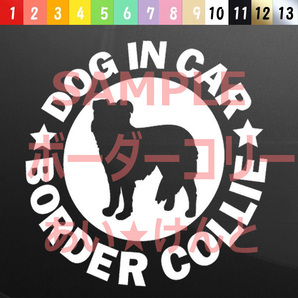 犬(ボーダーコリー)カッティング ステッカー 防水 車用【匿名配送】