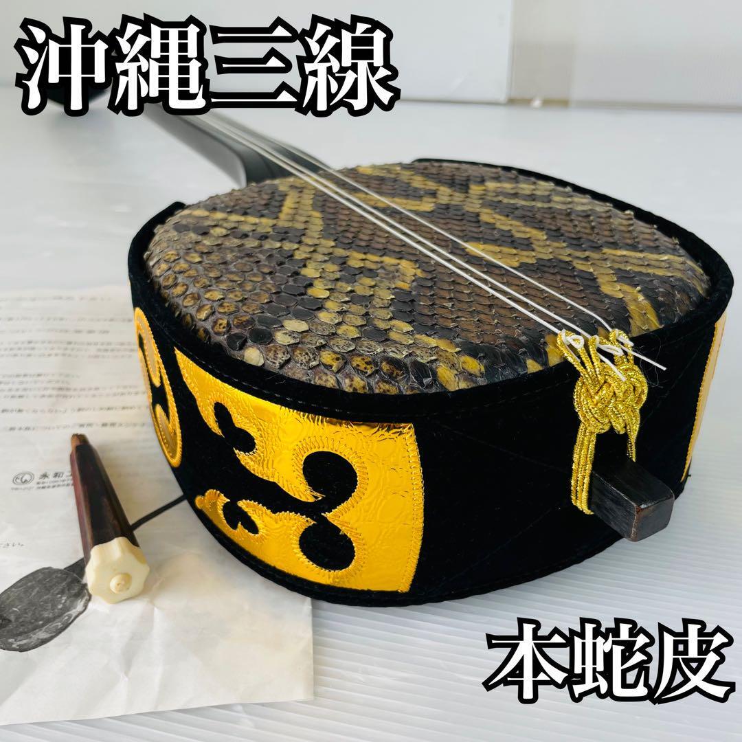 2025年最新】Yahoo!オークション -三線 本皮の中古品・新品・未 2025年最新】Yahoo!オークション -三線 本皮の中古品・新品・未