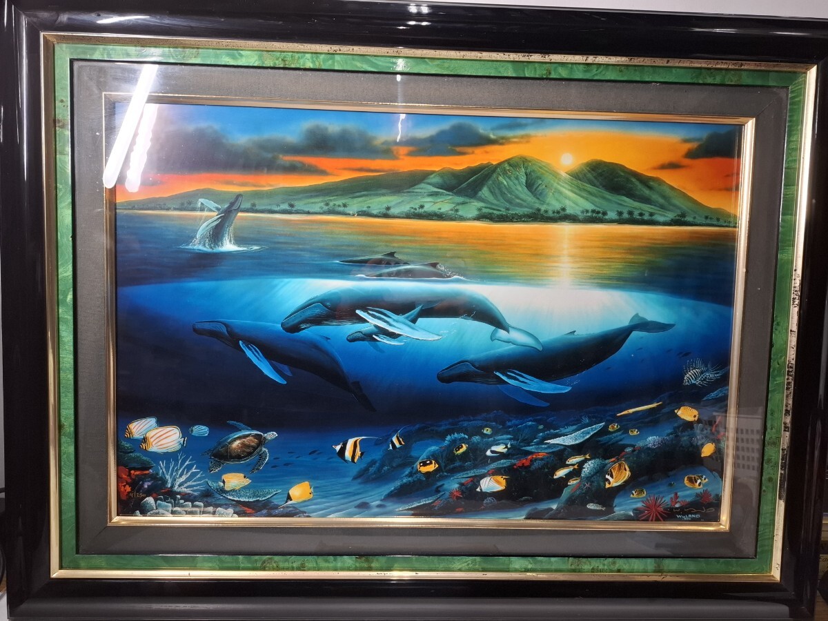 Yahoo!オークション -「wyland」の落札相場・落札価格 Yahoo!オークション -「wyland」の落札相場・落札価格